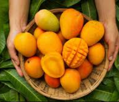 হিমসাগর আম ১ কেজি